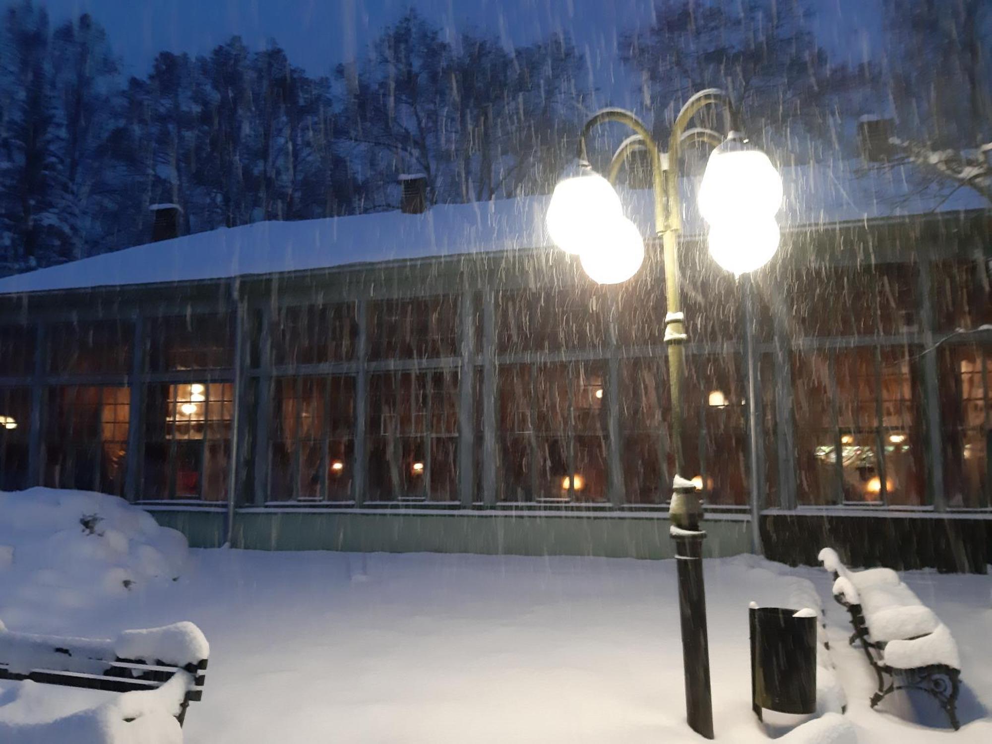 Spa Park Guest Rooms Długopole-Zdrój Eksteriør billede